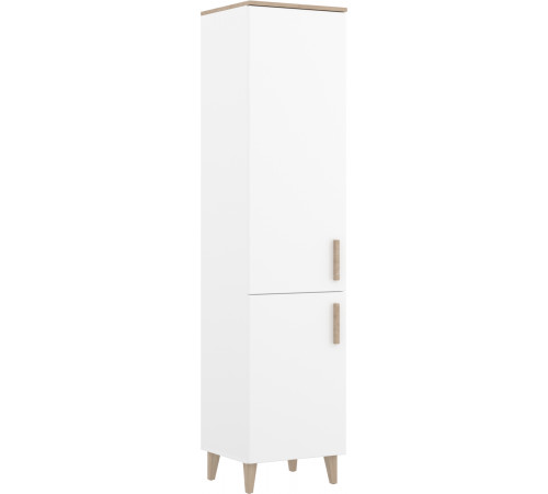 Одностворчатый шкаф Санти СА-219.13